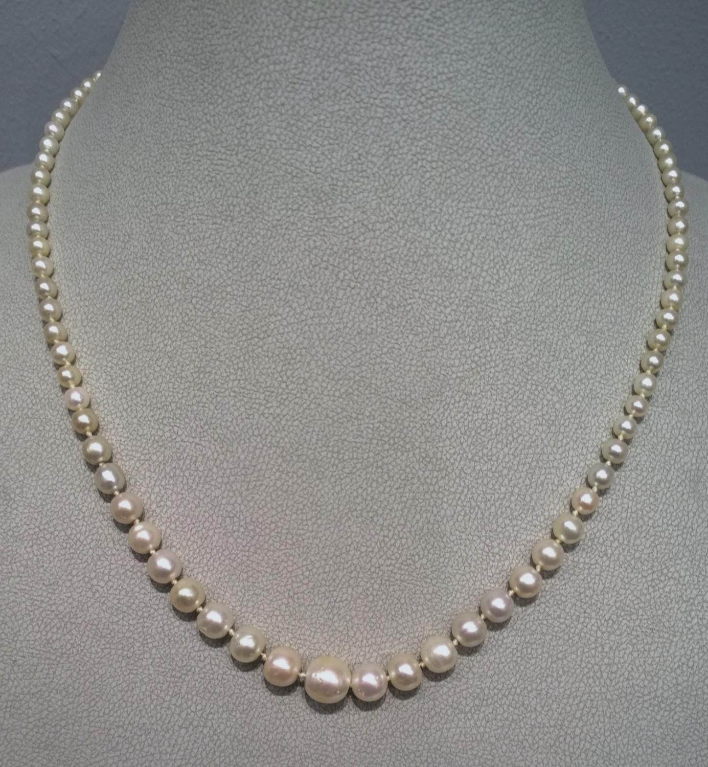 Natural pearl necklace in Antique and Vintage Jewellery