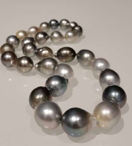Tahiti South Sea multi colour pearls 12mm by 15mm